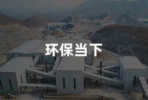 h鲻
